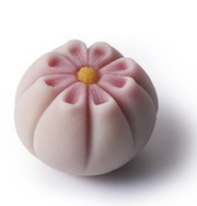    
写真：kosumosu.jpg
  