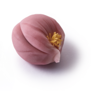   
    写真：Sazanka.png
      